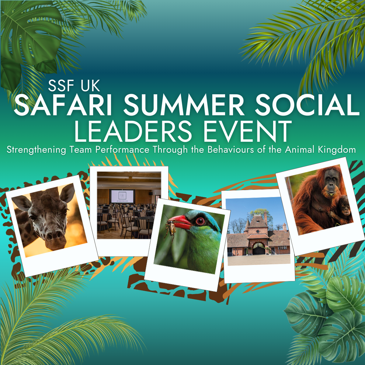 SSF UK Safari Summer Social Leaders Event: Strengthening Team Performance Through the Behaviours of the Animal Kingdom