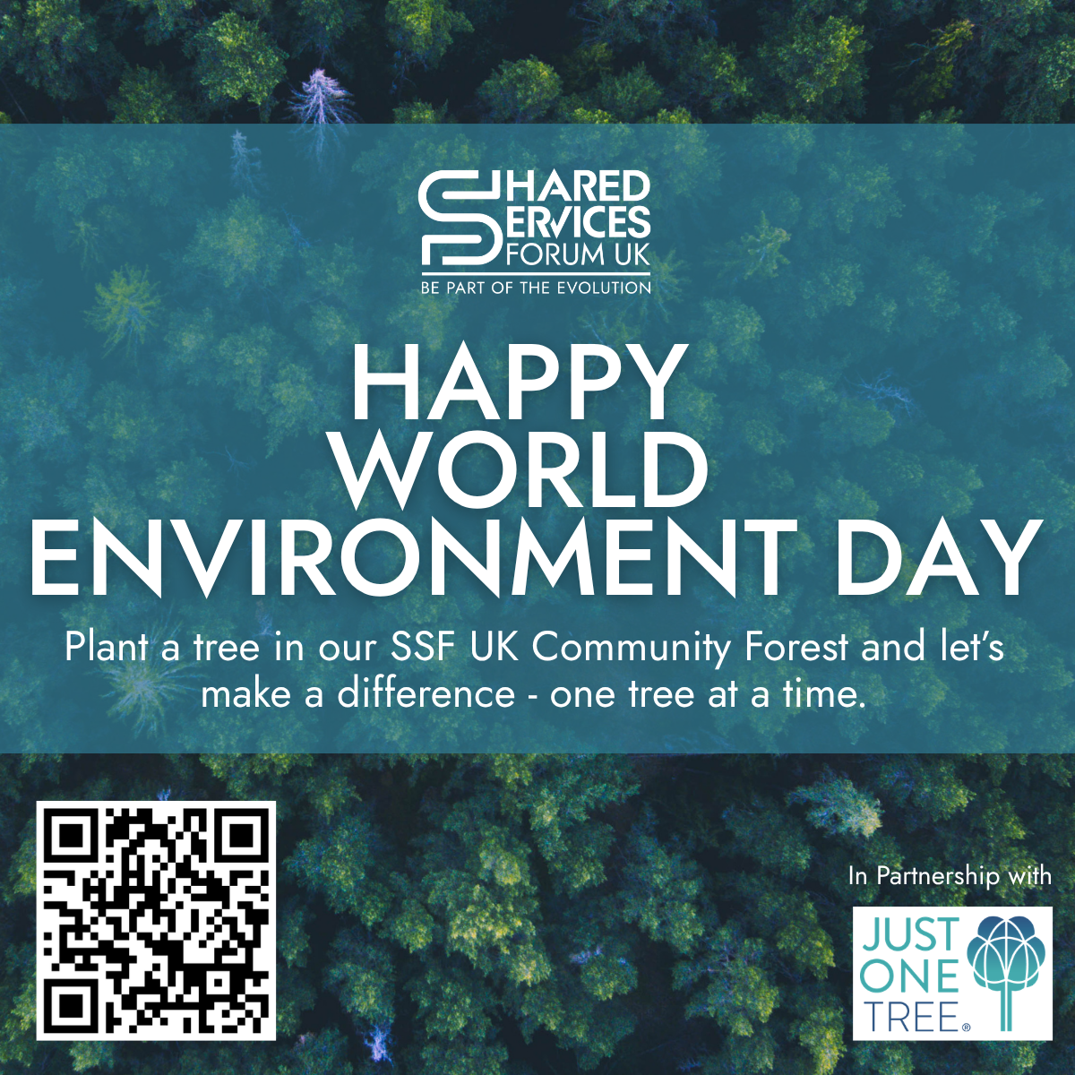 SSF UK Marks World Environment Day with Growing Community Forest Initiative