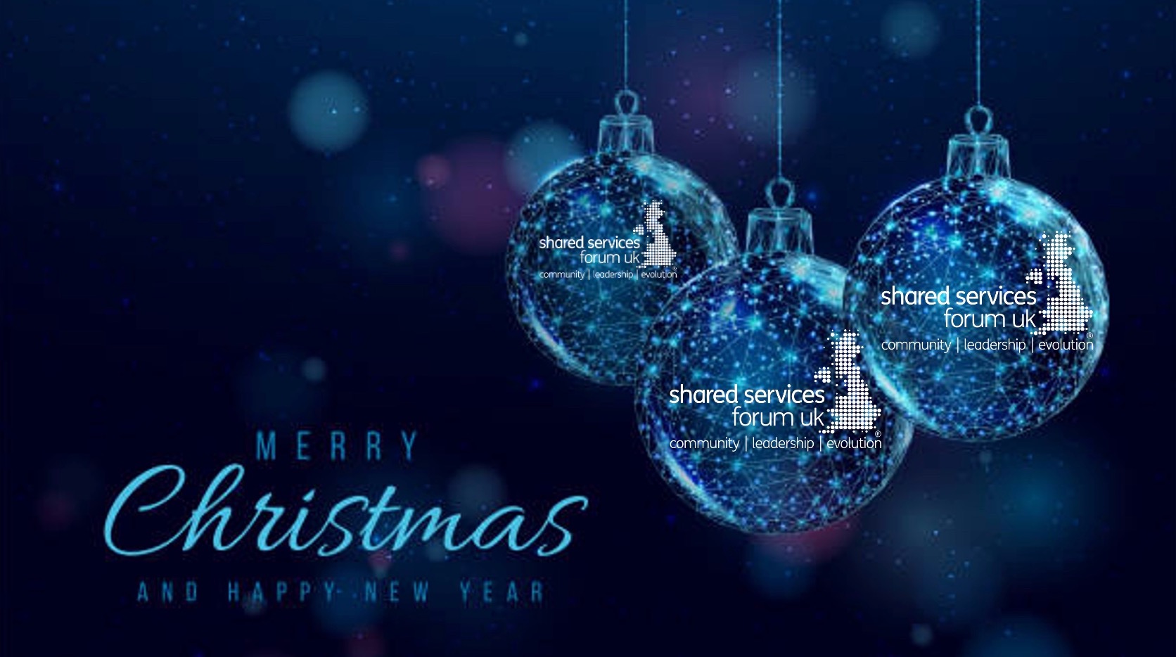 WISHING YOU A MERRY CHRISTMAS AND A HAPPY NEW YEAR FROM SSF UK